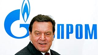 Gerhard Schröder - Archiv