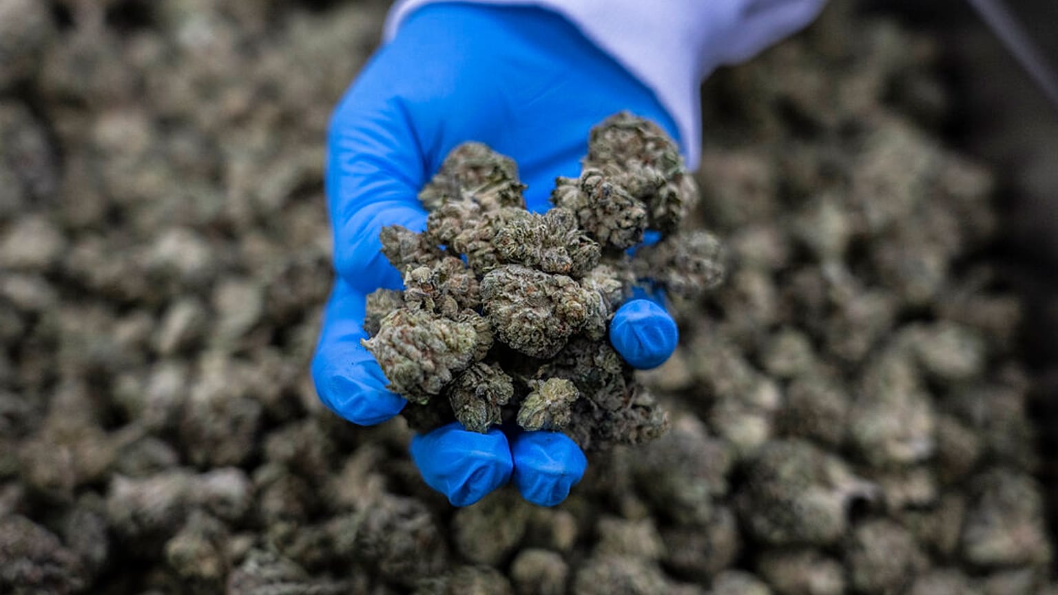 Kennen Sie schon die Cannabis-Hauptstadt?