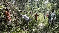 Tote, zerstörte Häuser und Stromausfälle - "Batsirai" wütet in Madagaskar