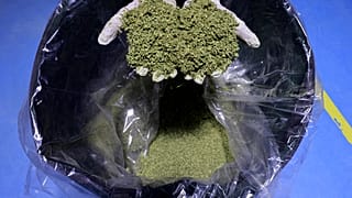 القنب في إسرائيل