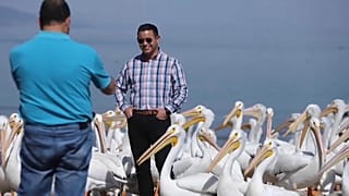 Turista con los pelícanos en Petatán, México