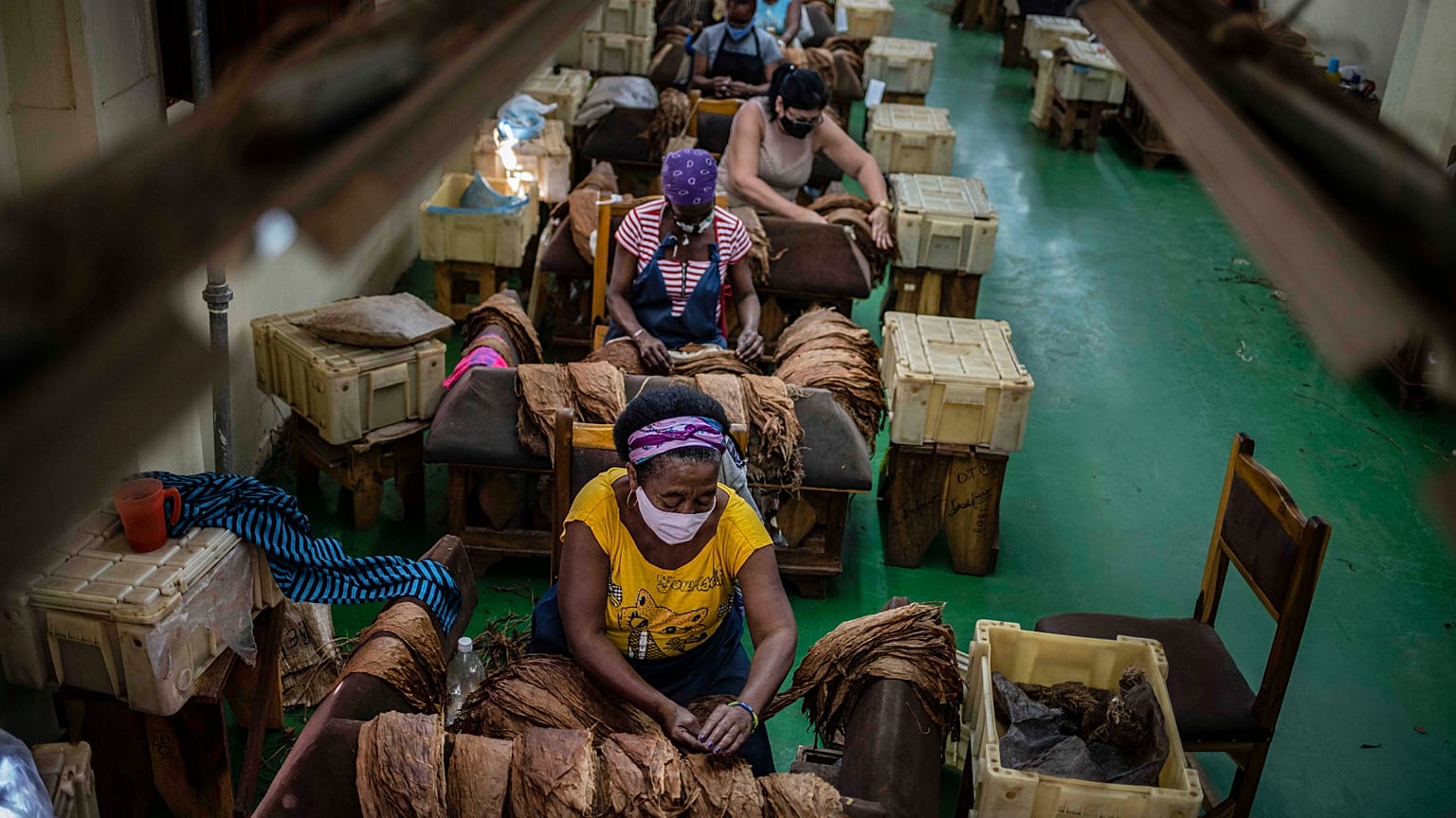 عاملات في مصنع بارتاغاس للسيجار في هافانا، كوبا.