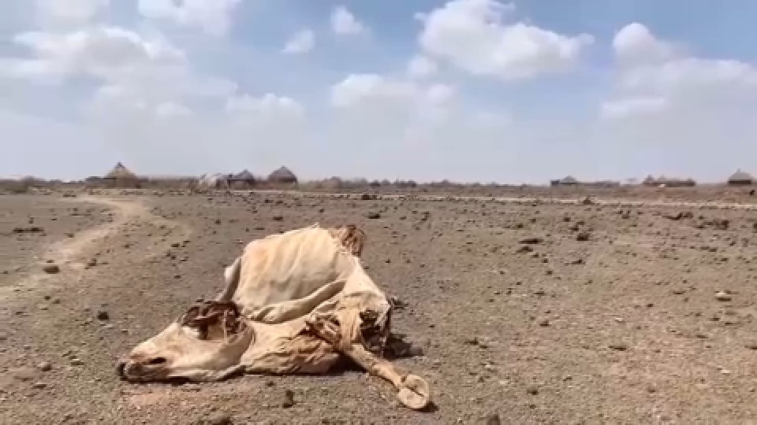 الجفاف يضرب شرق أفريقيا