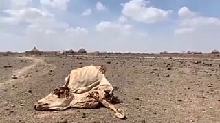 الجفاف يضرب شرق أفريقيا
