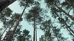 Baterias de madeira e amigas do ambiente
