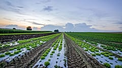 Soil health is just as important as human health on our planet.