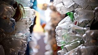 Bald besserer Schutz der Weltmeere? One Ocean Summit hat große Ambitionen