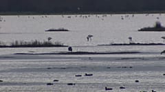 Se ha desatado una feroz disputa ambiental por los derechos de agua cerca del Parque Nacional de Doñana