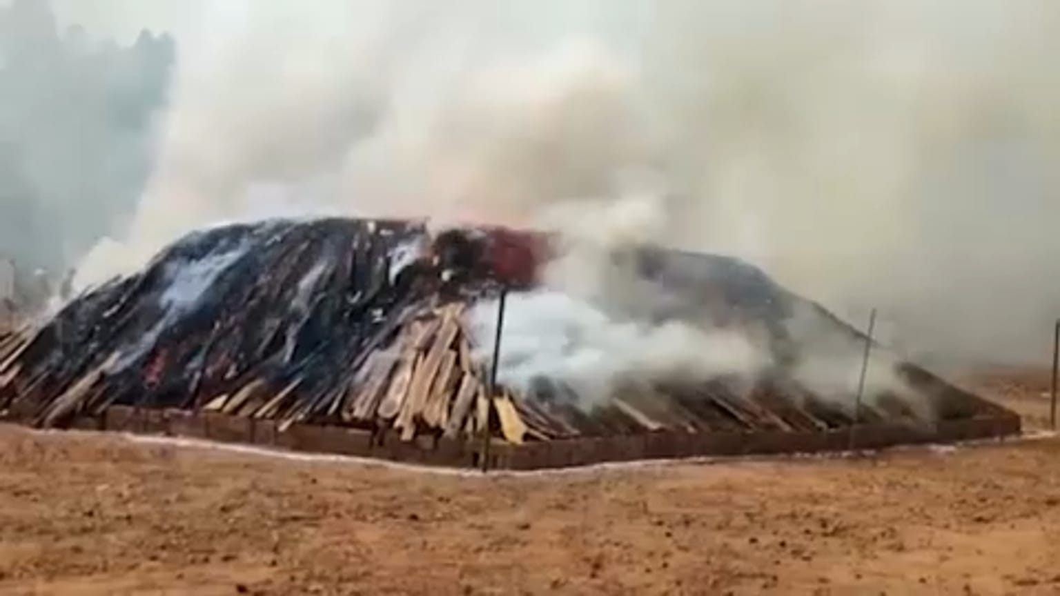 إحراق طنين من الماريجوانا المضبوطة في الهند. 