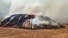 إحراق طنين من الماريجوانا المضبوطة في الهند. 