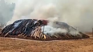 إحراق طنين من الماريجوانا المضبوطة في الهند.
