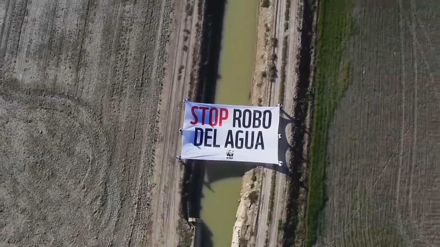 População contra aumento de regadio em Doñana