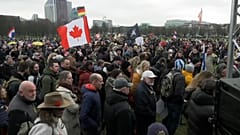 "Países Baixos Resistem" associam-se ao "Comboio da Liberdade" canadiano