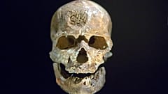 Was uns ein Zahn über Homo sapiens verrät