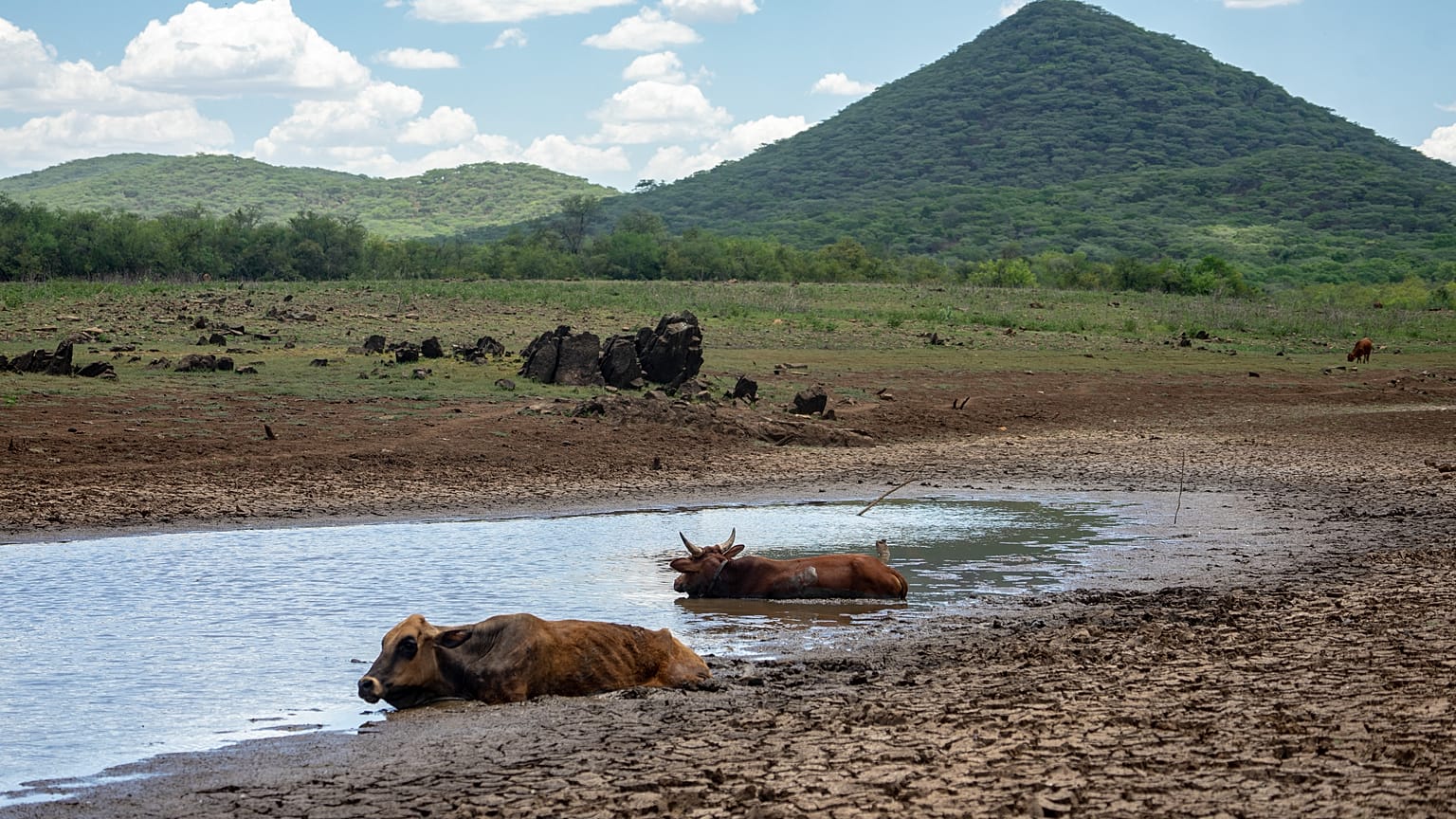 Míg az ipari országok szennyeznek, Afrika szenved