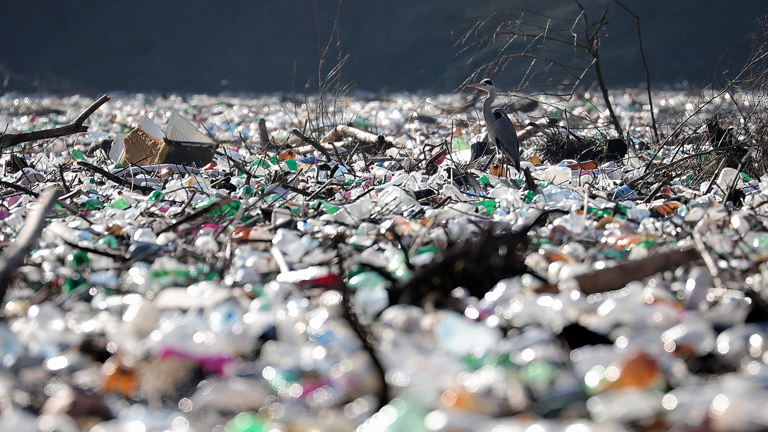 Des bouteilles en plastique et des barils déversés sur la rive du lac Potpecko, près de la ville de Priboj, en Serbie (5 janvier 2021)