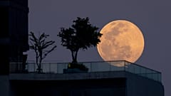 The Wolf Moon, the first full moon of the year, rises behind an apartment building in Bangkok on January 17, 2022.