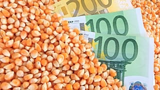 Corn-based ethanol is worse for the climate than petrol, according to a new US study