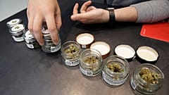 In this Thursday, June 6, 2019 a shop assistant opens jars of cannabis buds at a cannabis light store in Milan, Italy. 