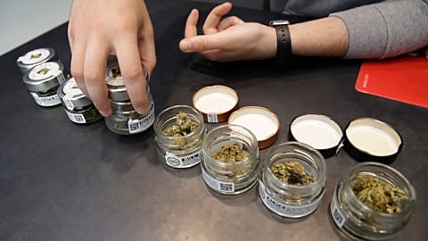 In this Thursday, June 6, 2019 a shop assistant opens jars of cannabis buds at a cannabis light store in Milan, Italy. 