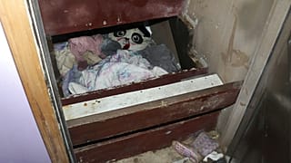 a lépcső alatt kialakított búvóhely
