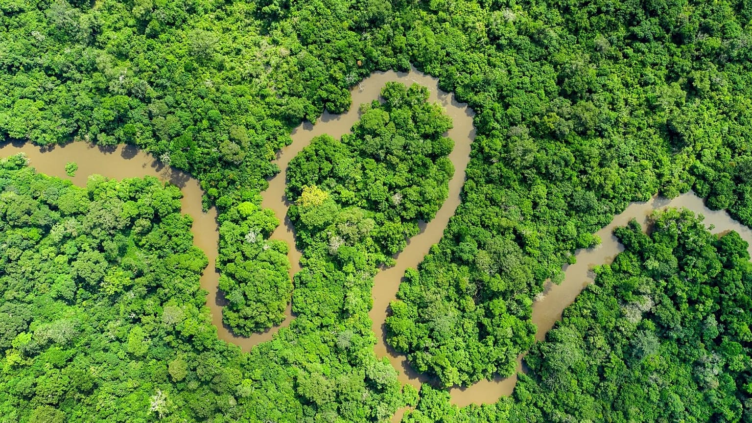 A river meanders through trees in the Congo Basin