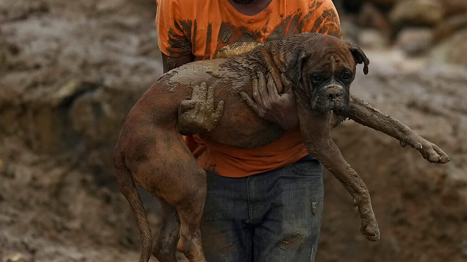 Homem transporta cão resgatado dos escombros resultantes de deslizamento de terras em Petrópolis, Brasil