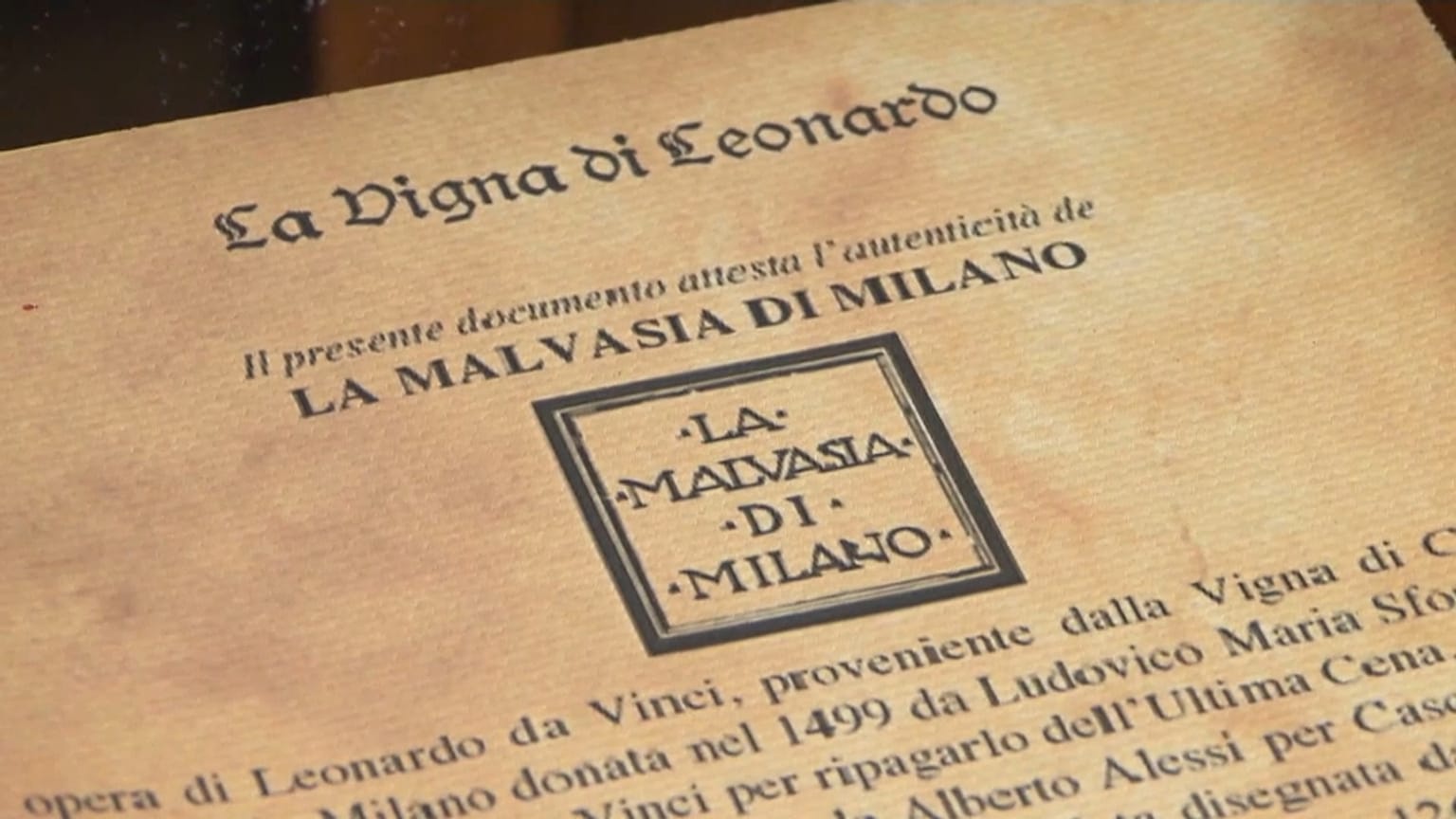La vigna di Leonardo da Vinci