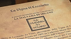La vigna di Leonardo da Vinci