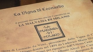 La vigna di Leonardo da Vinci