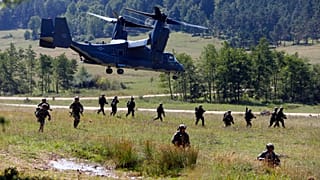 "Exercise Swift Response". Truppenübungsplatz Hohenfels in der Oberpfalz. 26. August 2015