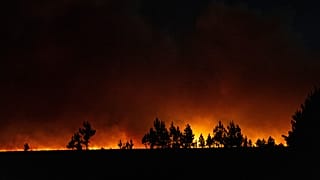 Incêndios na Argentina matam 70 mil cabeças de gado