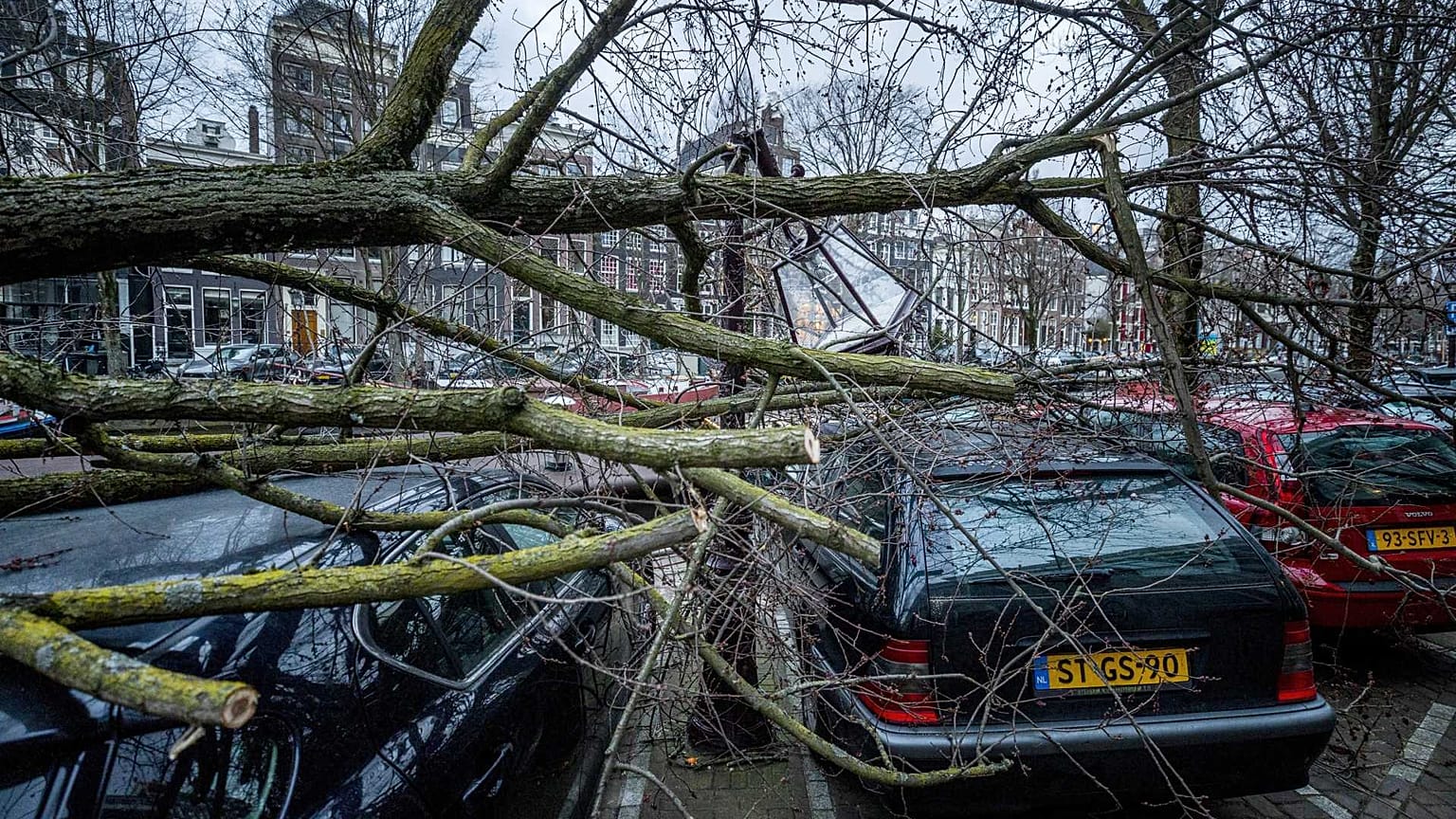 Hollanda'nın başkenti Amsterdam'da etkili olan kasırgada ağaçlar devrildi