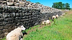 Sección del muro de Adriano, Inglaterra, Reino Unido 