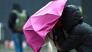 Le vent souffle à Cologne, en Allemagne (21/02/2022)