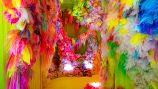 A new art exhibition at Rome's Choistro del Bramante building, lets visitors revel in colourful, rebellious madness