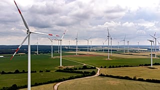 The 'Odervorland' wind farm is pictured in Jacobsdorf near Frankfurt an der Oder, Germany, Friday, June 25, 2021.