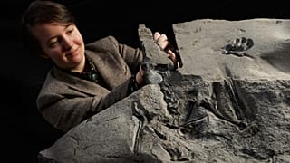 University of Edinburgh PhD student Natalia Jagielska poses for a photo with the world's largest Jurassic pterosaur unearthed on the Isle of Skye. 