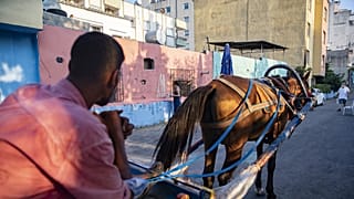 COVID-19’un Romanlar Üzerindeki Etkisi Araştırıldı
