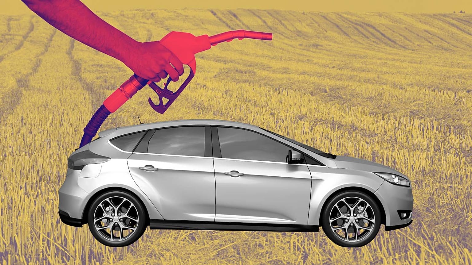 For over 15 years, Europe has increasingly relied on crop biofuels to reduce CO2 emissions in transport.