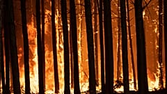 Argentine : dans la province de Corrientes, les pompiers luttent toujours contre les incendies