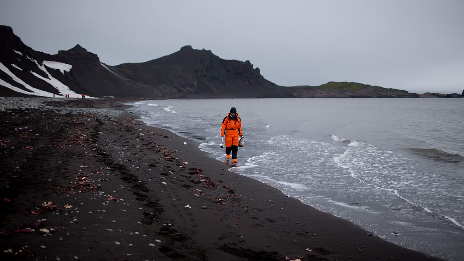 Antarctica's white landscape is turning dark in the area where thousands among tourists and researchers flock every summer.