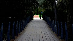 Γραμμικό Πάρκο, Λευκωσία