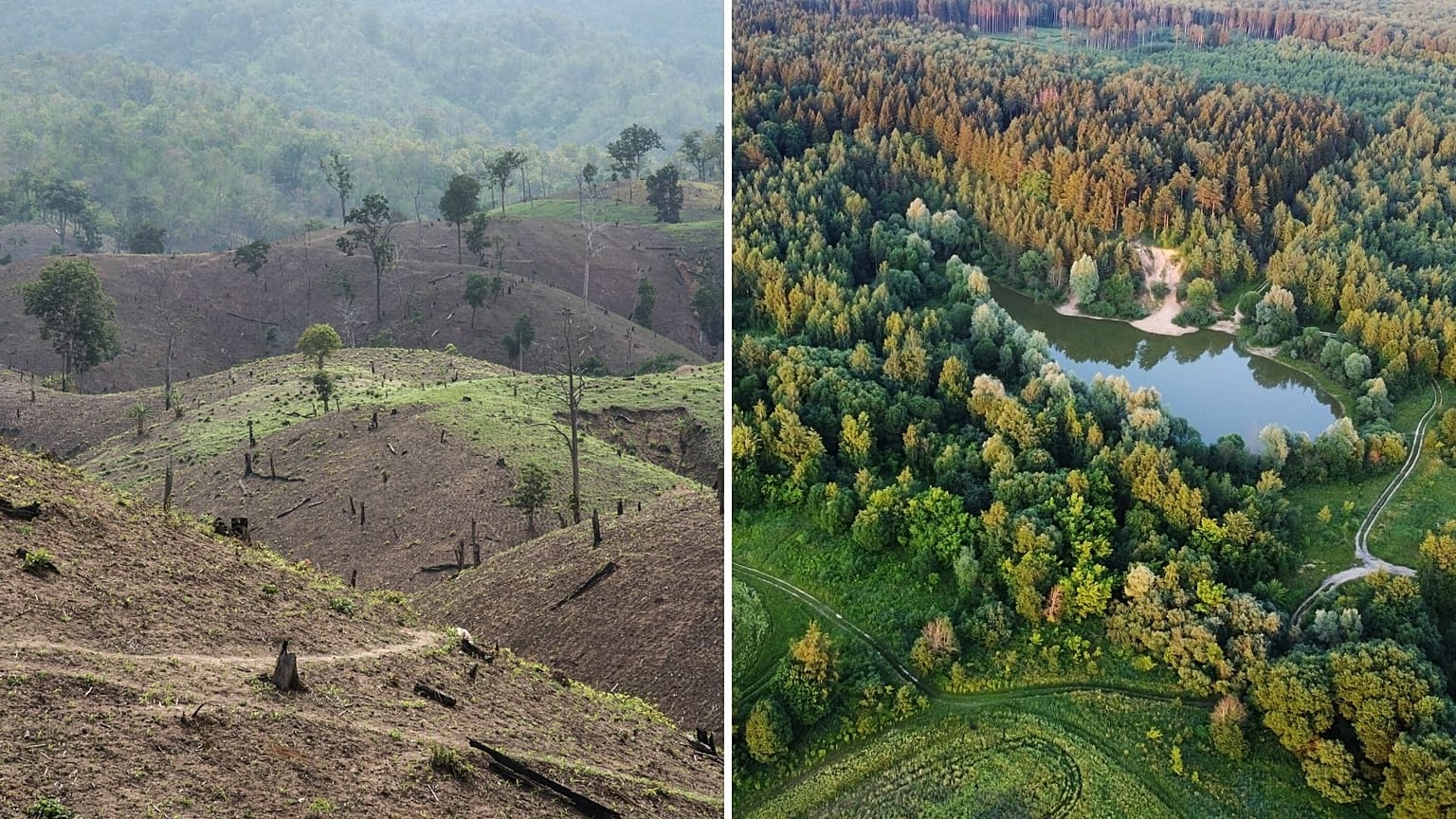 Amazon vs Europe