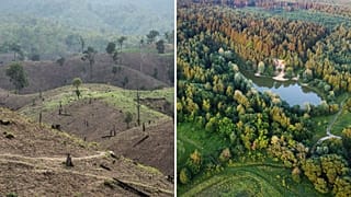 Amazon vs Europe