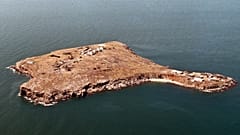 Snake Island