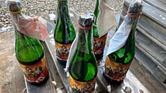 Molotovs from Pravda Brewery