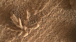 تصویر کاوشگر کنجکاوی از سنگ گل‌شکل در سطح مریخ