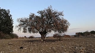 Siccità e cambiamenti climatici