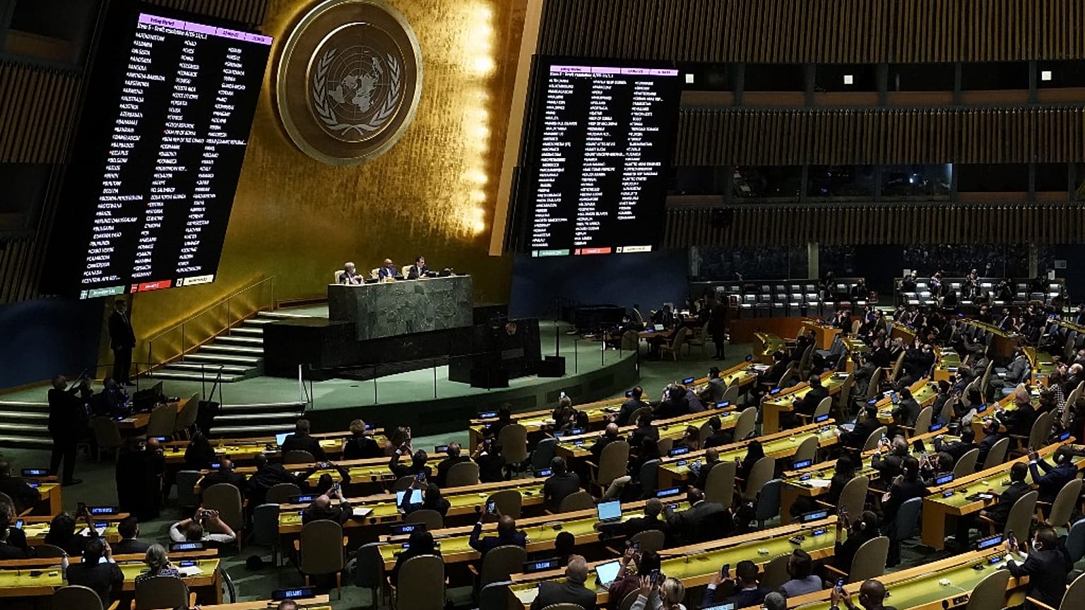 Assemblea Onu